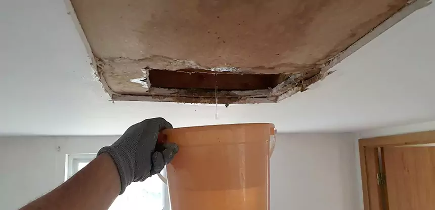 Ceiling Mold Repair Social Circle